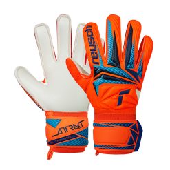 Attrakt Solid Adulto Mundial